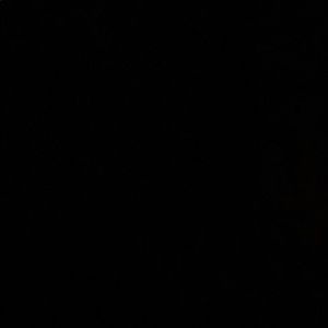 Meet your Posher, Polina